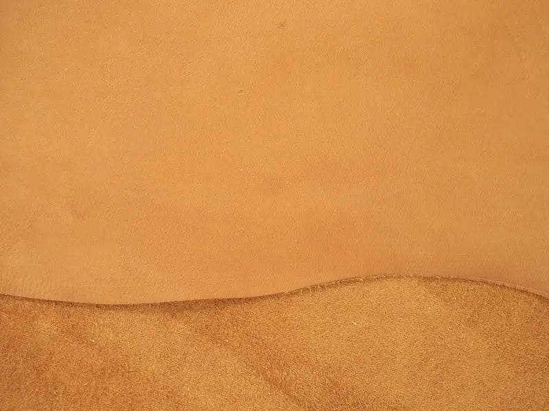 ベイビーカーフディア調2