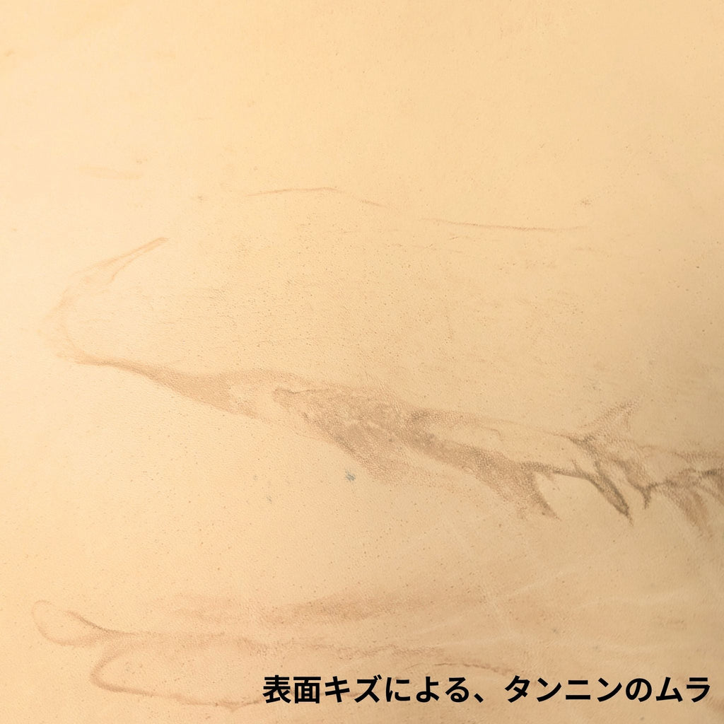 特徴3のイメージ