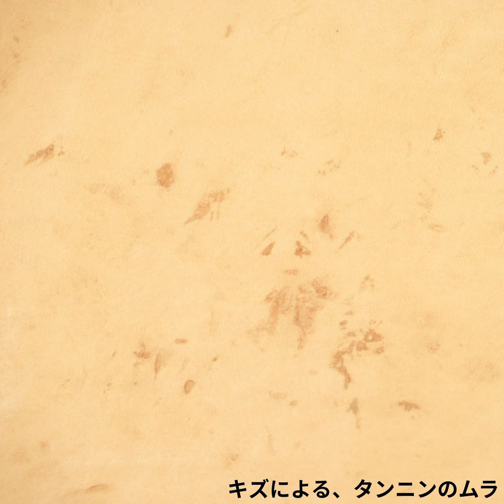 特徴5のイメージ