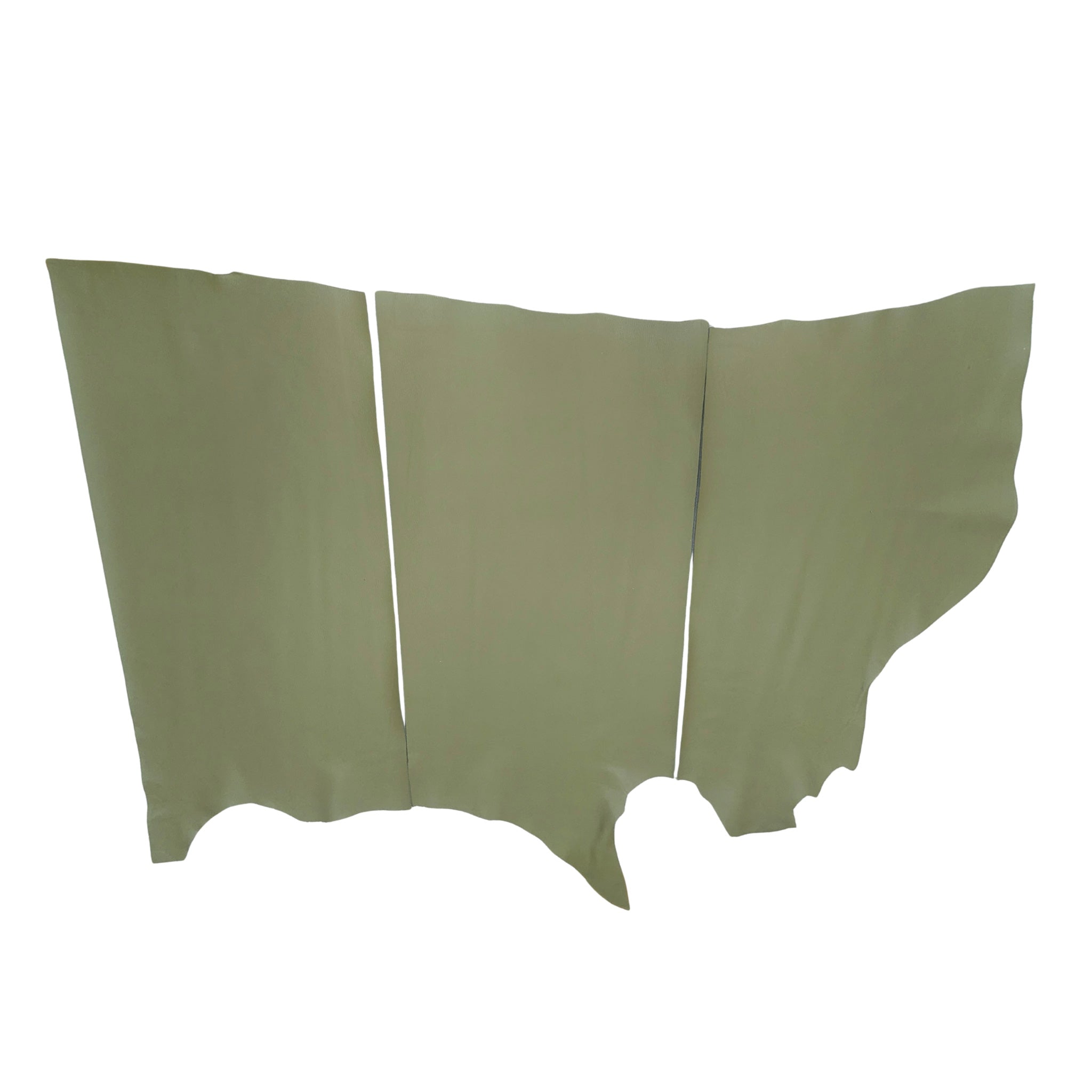 マドンナ 半裁クオーター(45ds~55ds前後) 協伸レザーオンラインショップ