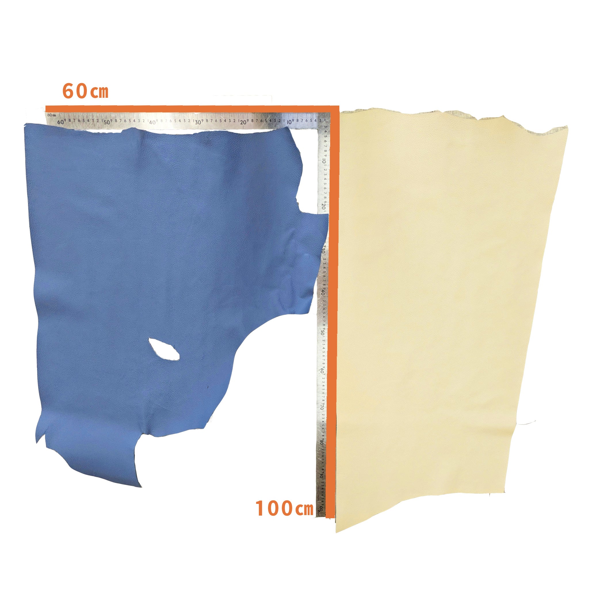 マドンナ 半裁クオーター(45~50ds前後) 協伸レザーオンラインショップ