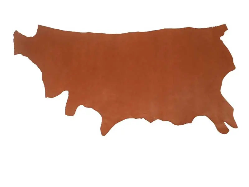 ヌメスムース半裁1