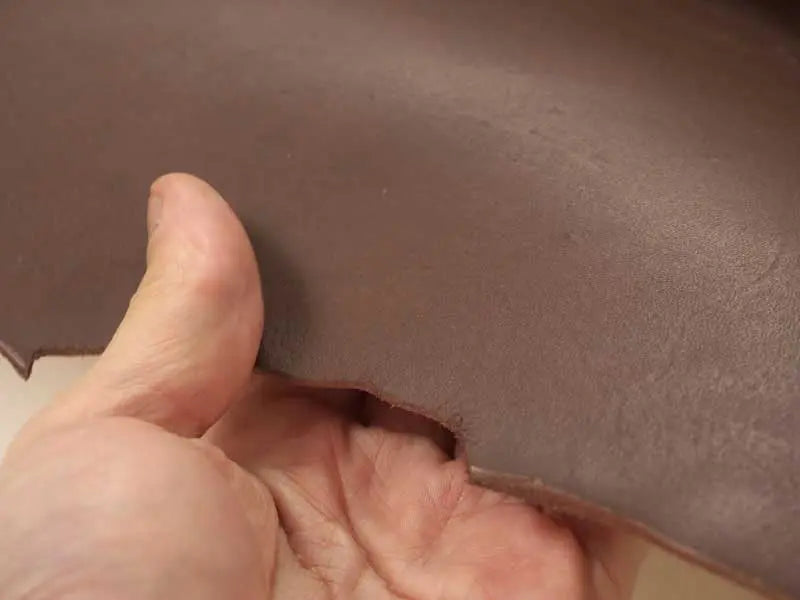 ヌメスムース半裁5