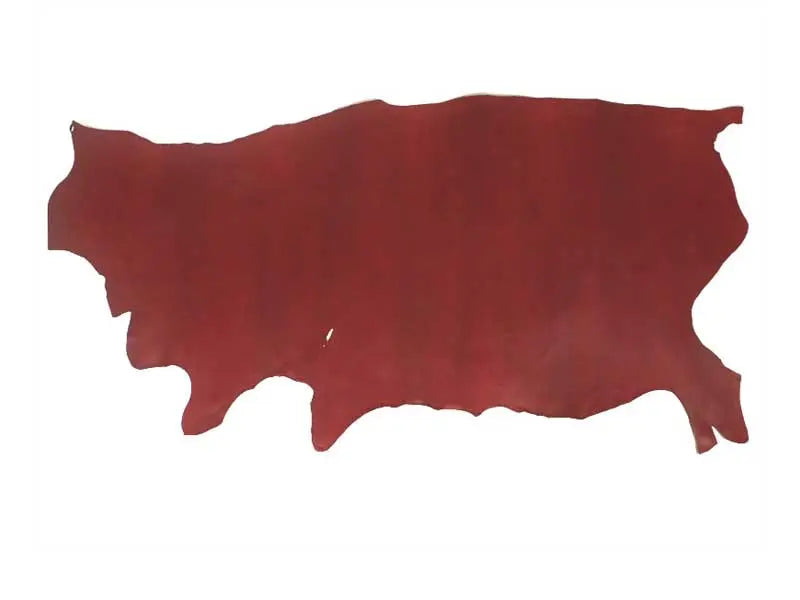 ヌメスムース半裁1