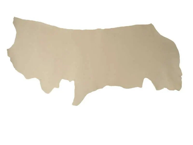 レオニーノソフト半裁1