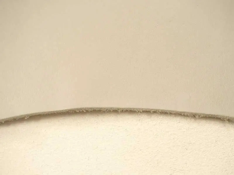 レオニーノソフト半裁2