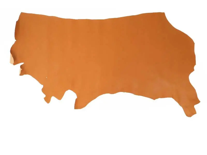 レオニーノソフト半裁1