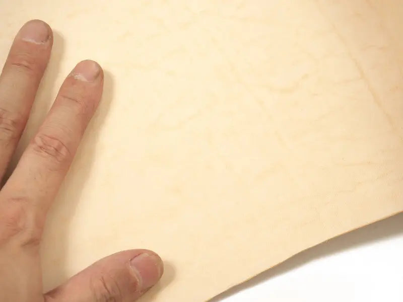 特徴2のイメージ