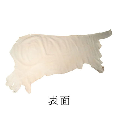 【限定10枚】ヌメ革 ホースヌメ Aランク 半裁