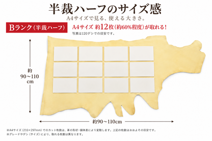 ヌメ革 タンロー 半裁ハーフ【ナチュラル素肌】（旧：Bランク）