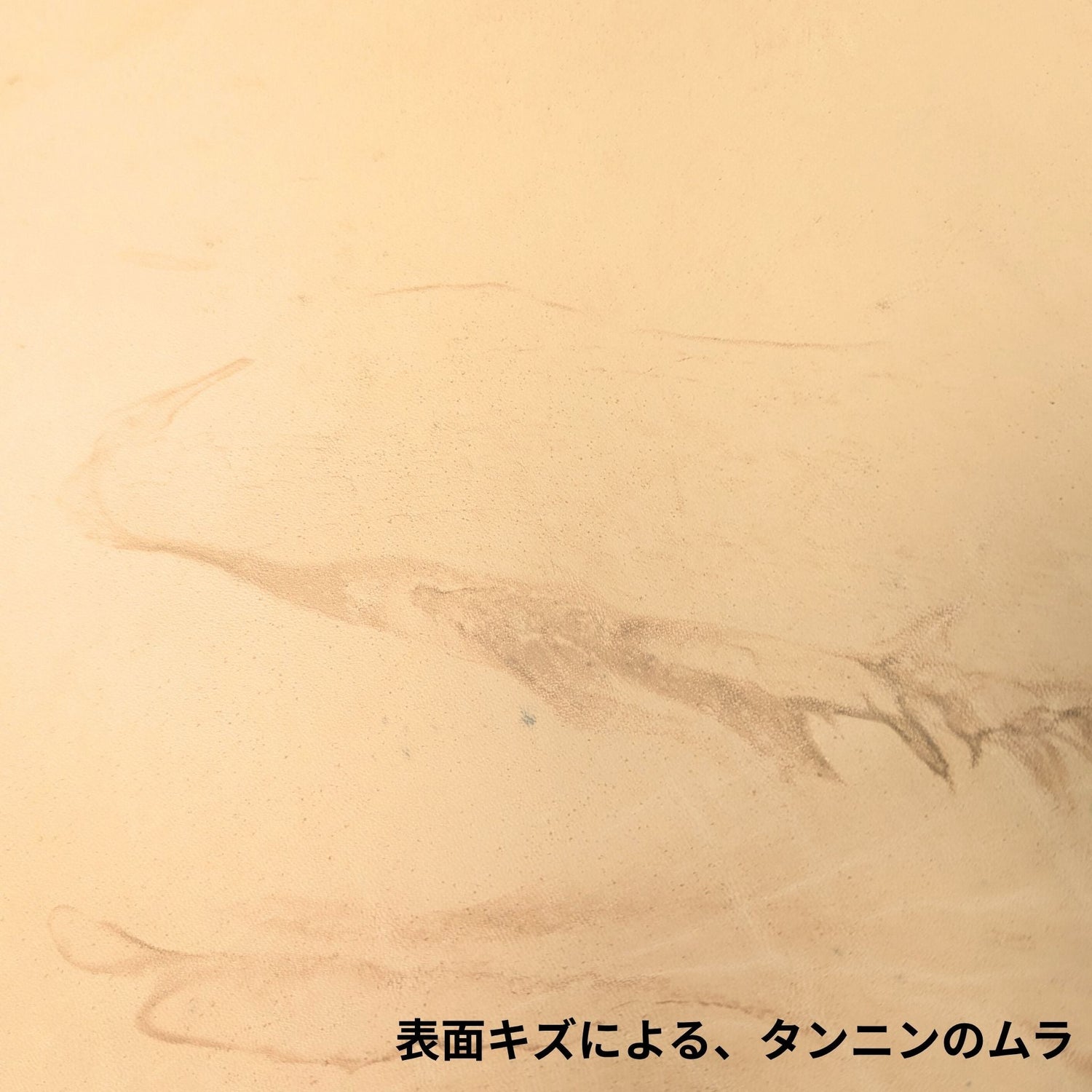 ホースフロントヌメBランク　【頭側】半裁ハーフ 協伸レザーオンラインショップ