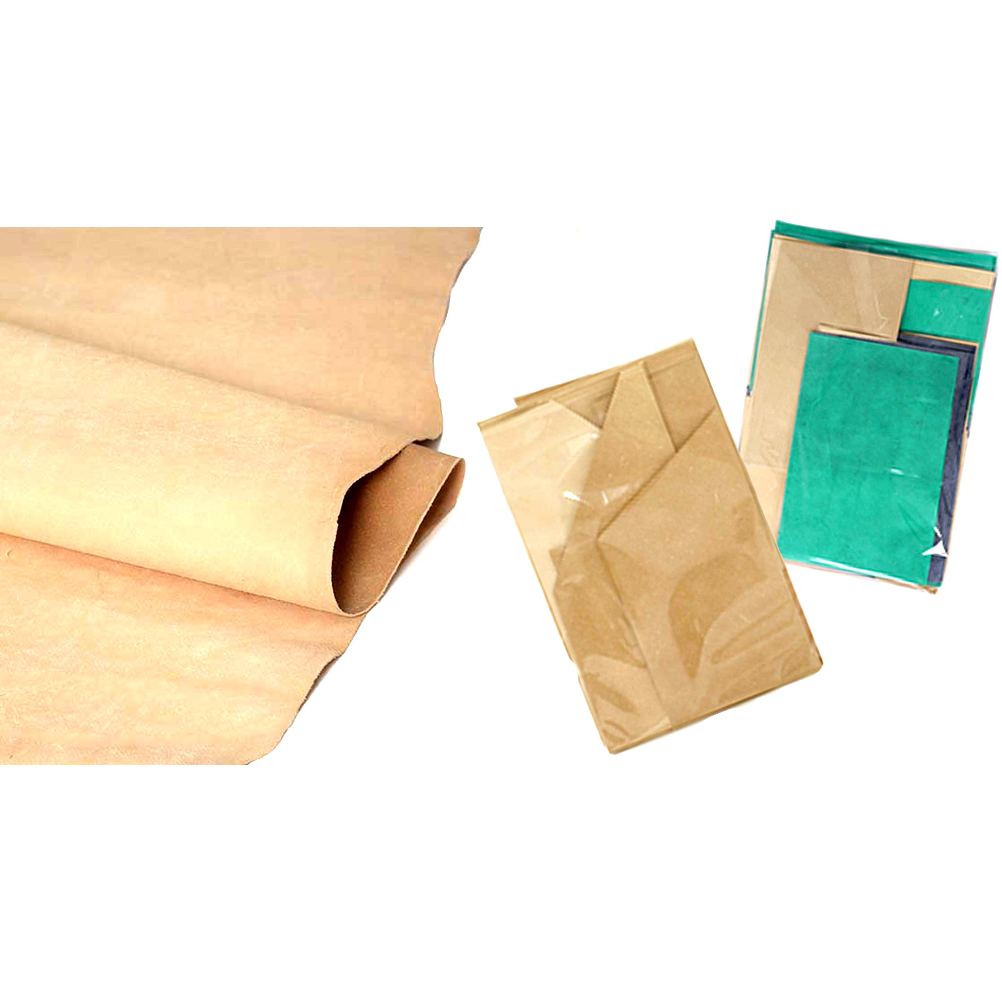 練習用_コレクション