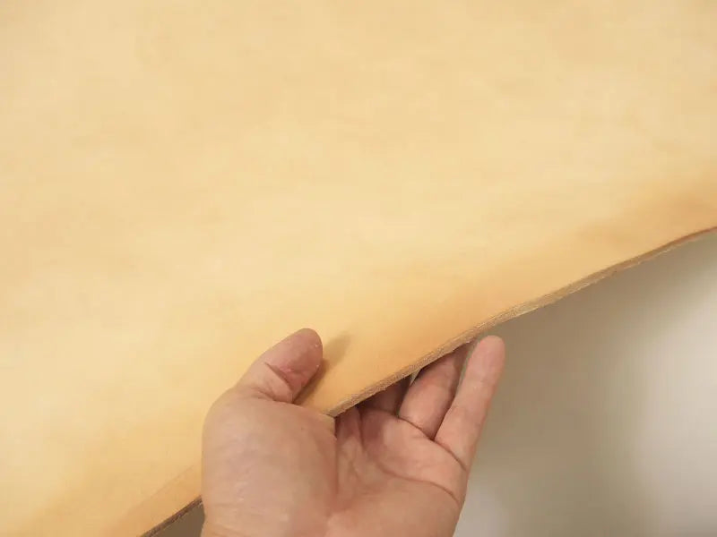特徴2のイメージ
